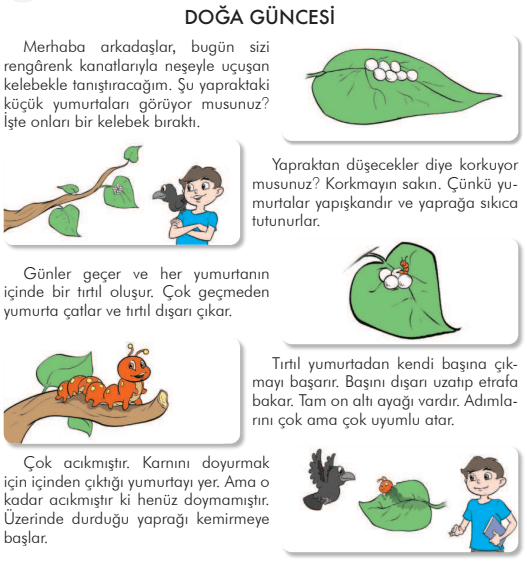 3. Sınıf Türkçe Doğa Güncesi Metni Cevapları – İlke Yayıncılık (Sayfa 268-274)