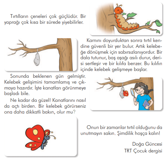 3. Sınıf Türkçe Doğa Güncesi Metni Cevapları