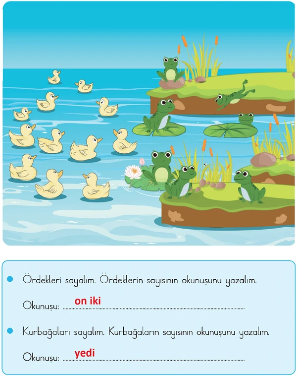 2. Sınıf Matematik Ders Kitabı Sayfa 56-57-58-59-60-61 Cevapları 1. Kitap
